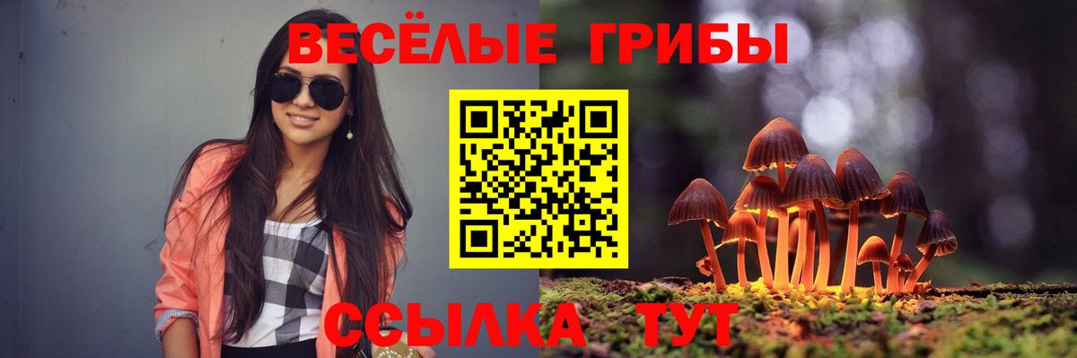 Узловая  Галлюциногенные грибы Cubensis  Вход с VPN 